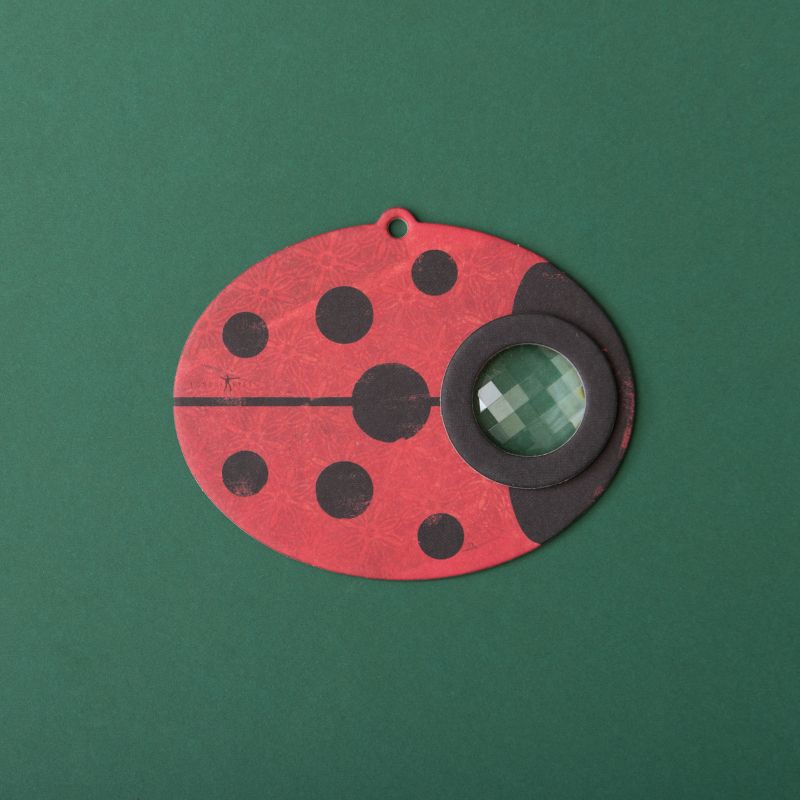 Londji Ladybird Insect Eye